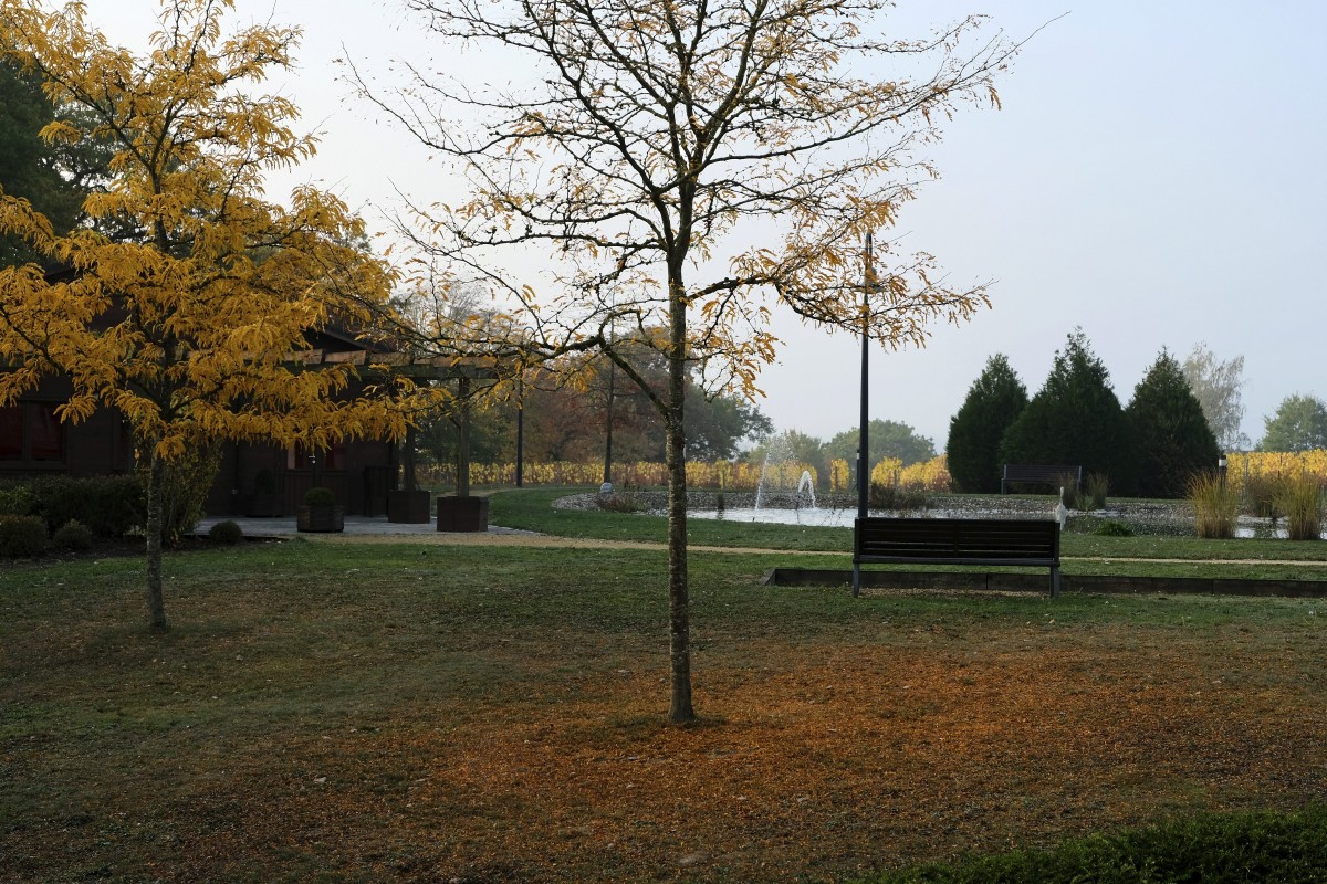 20.10.2018_Editpress_465116