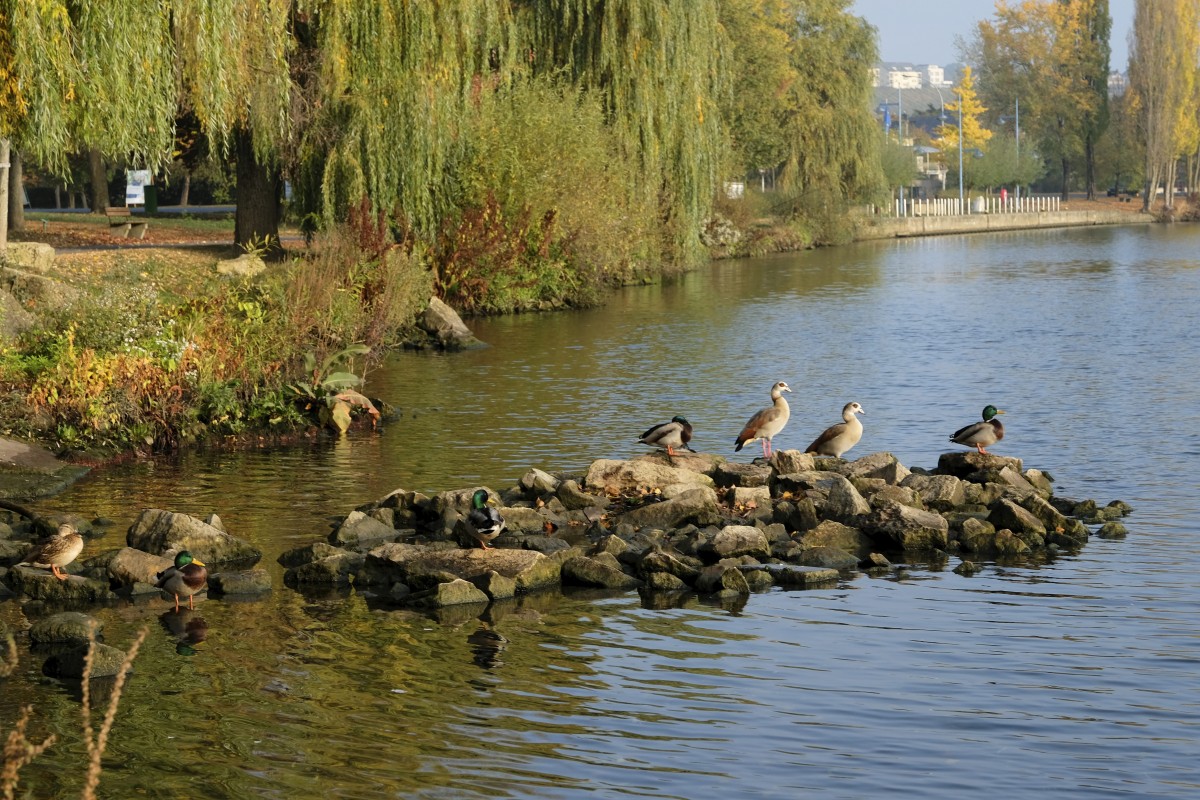 20.10.2018_Editpress_465117