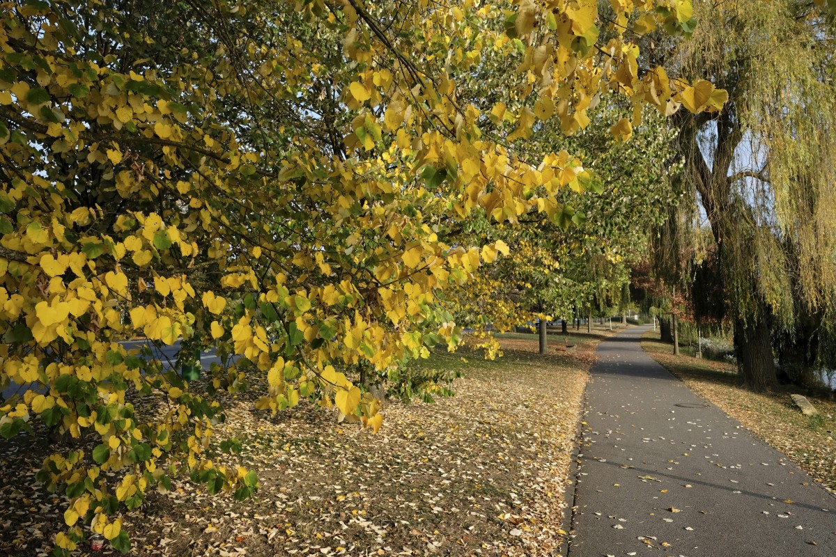 20.10.2018_Editpress_465119