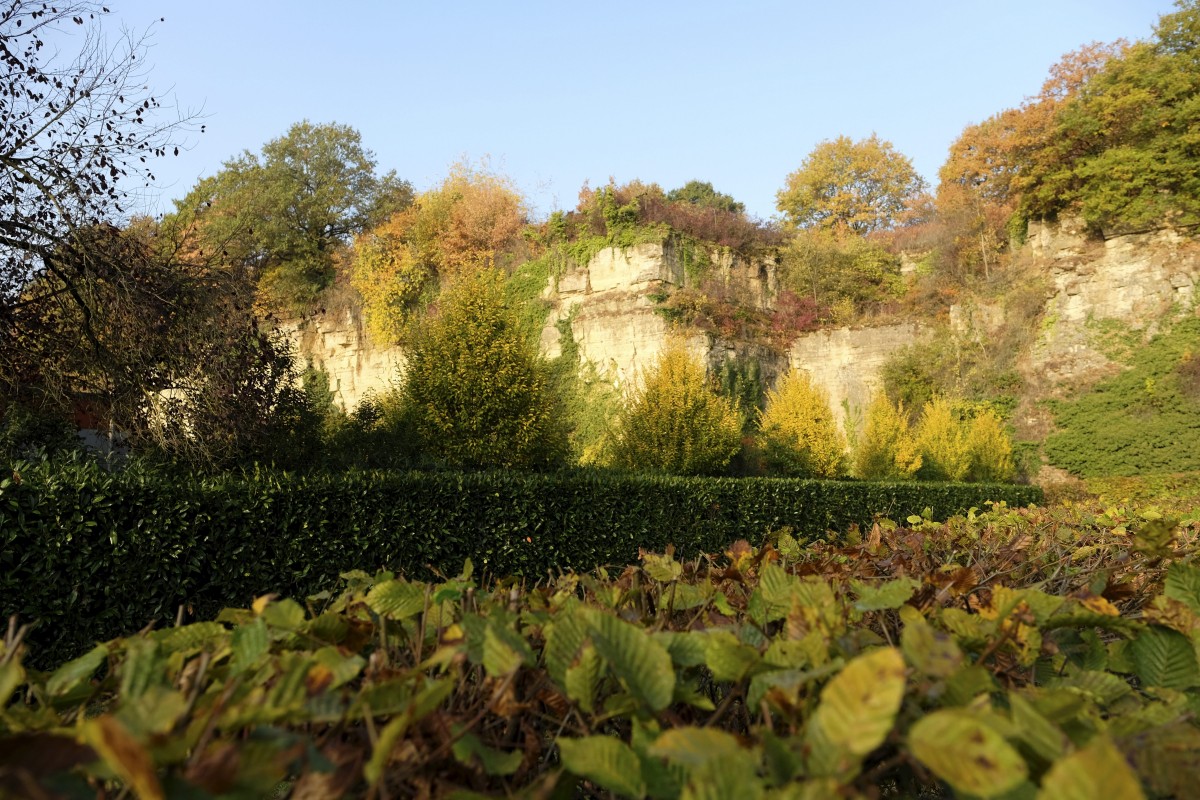 20.10.2018_Editpress_465120