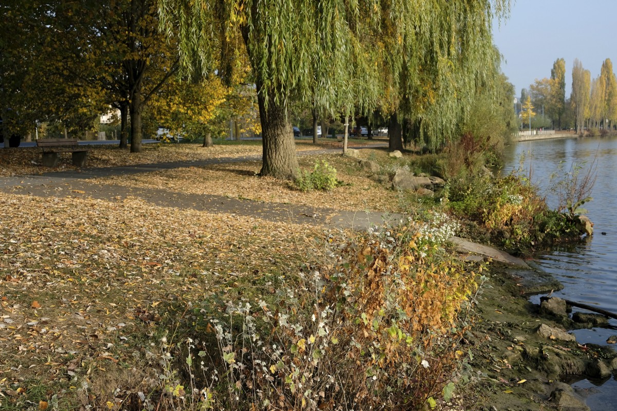 20.10.2018_Editpress_465121