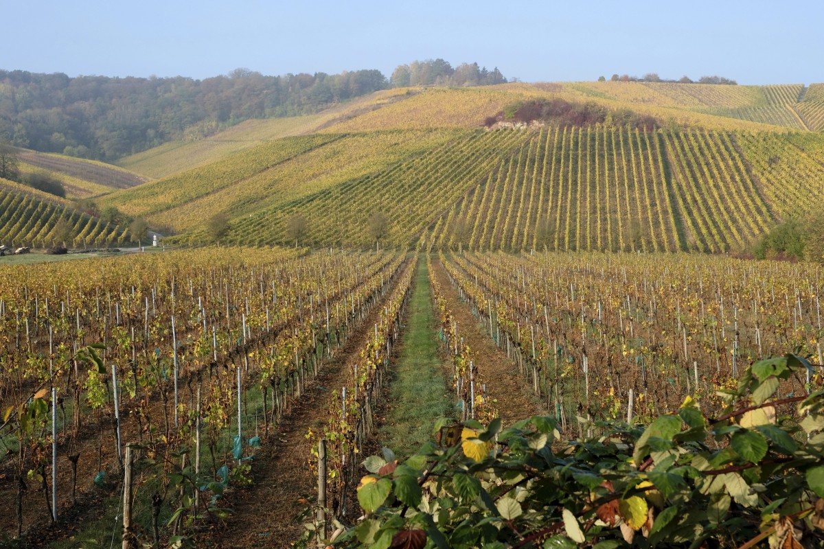 20.10.2018_Editpress_465123