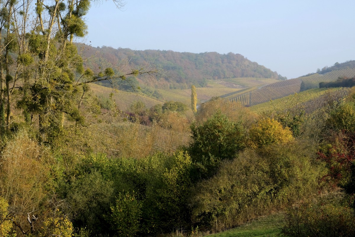 20.10.2018_Editpress_465124