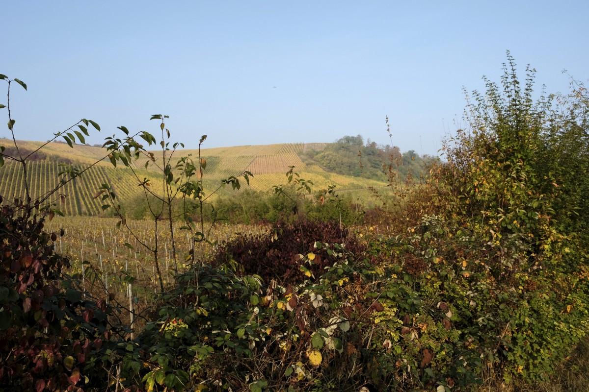 20.10.2018_Editpress_465125