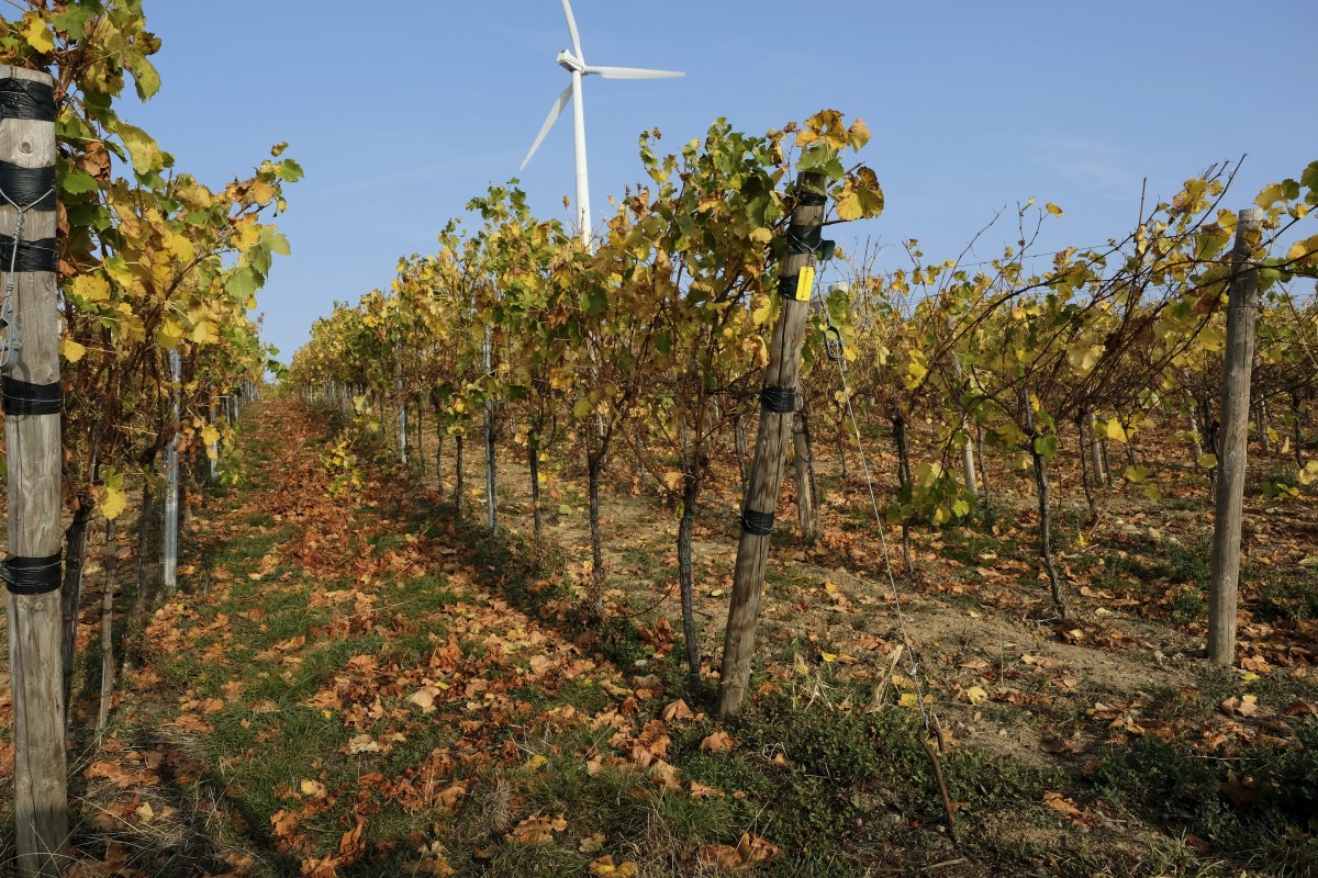 20.10.2018_Editpress_465126