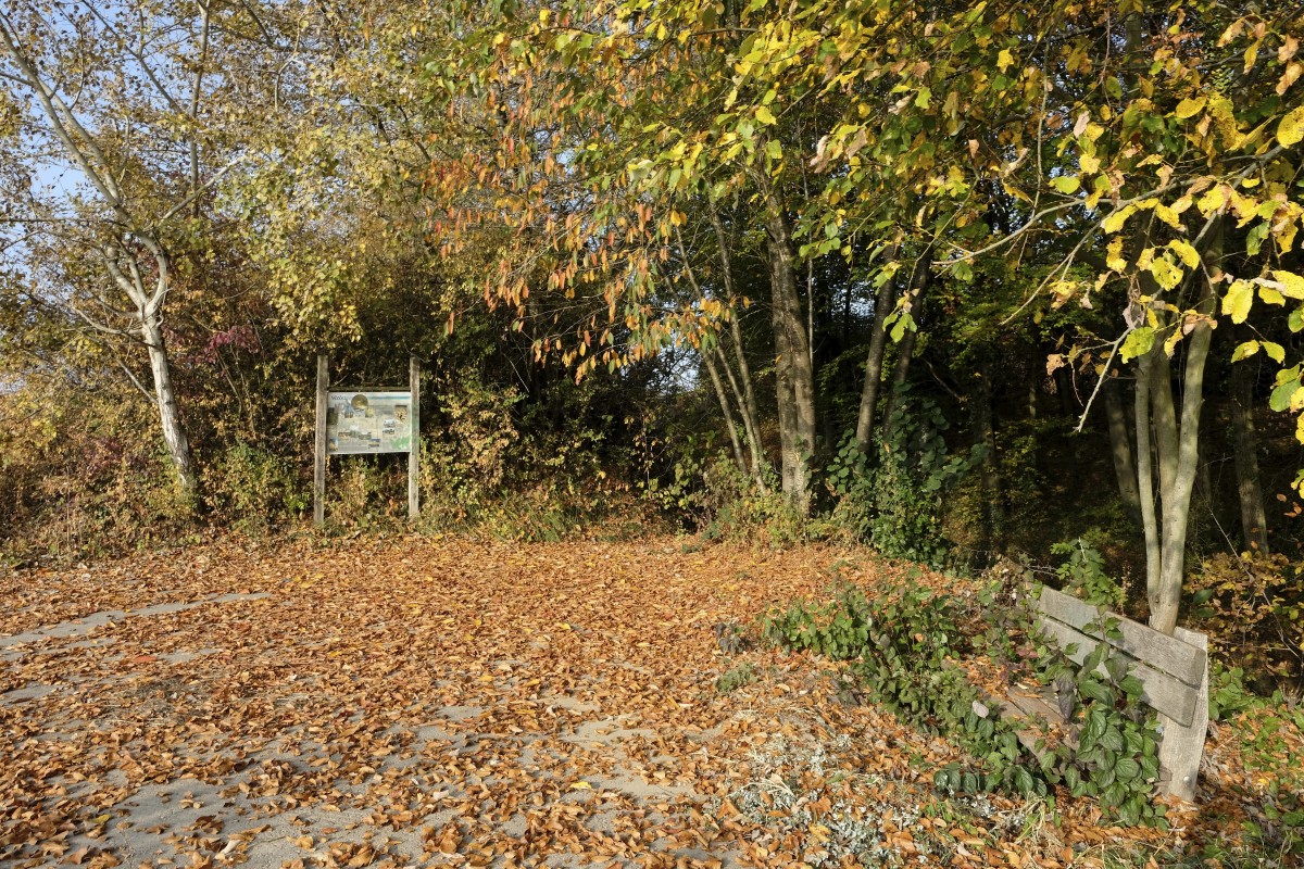 20.10.2018_Editpress_465127