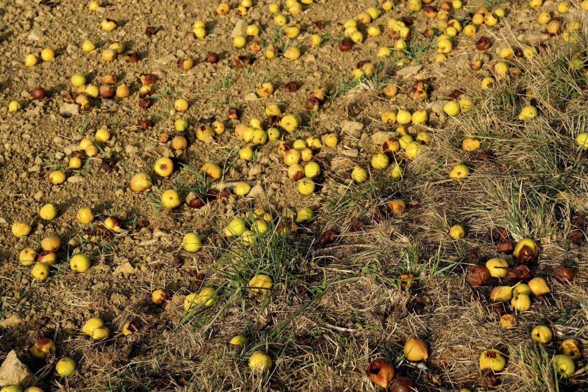 20.10.2018_Editpress_465128