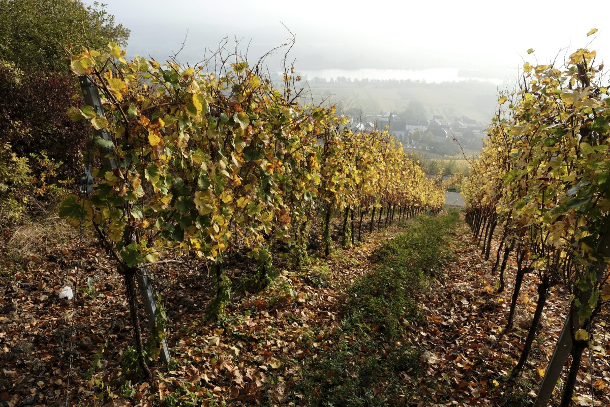 20.10.2018_Editpress_465129