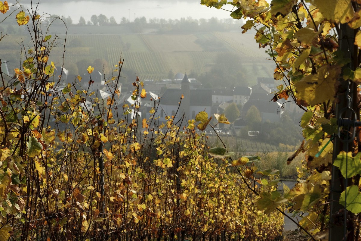 20.10.2018_Editpress_465130