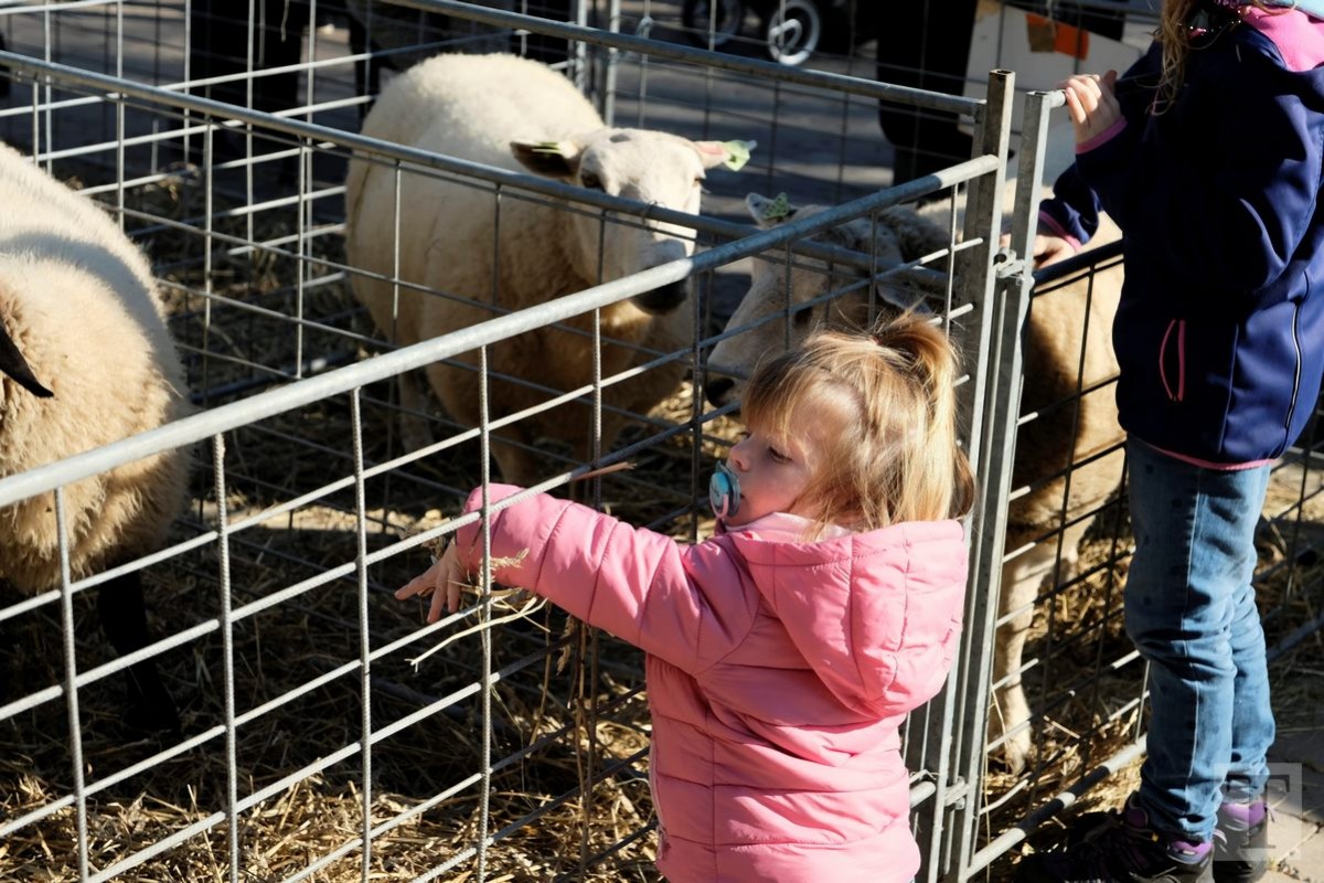 21.10.2018_Editpress_465412