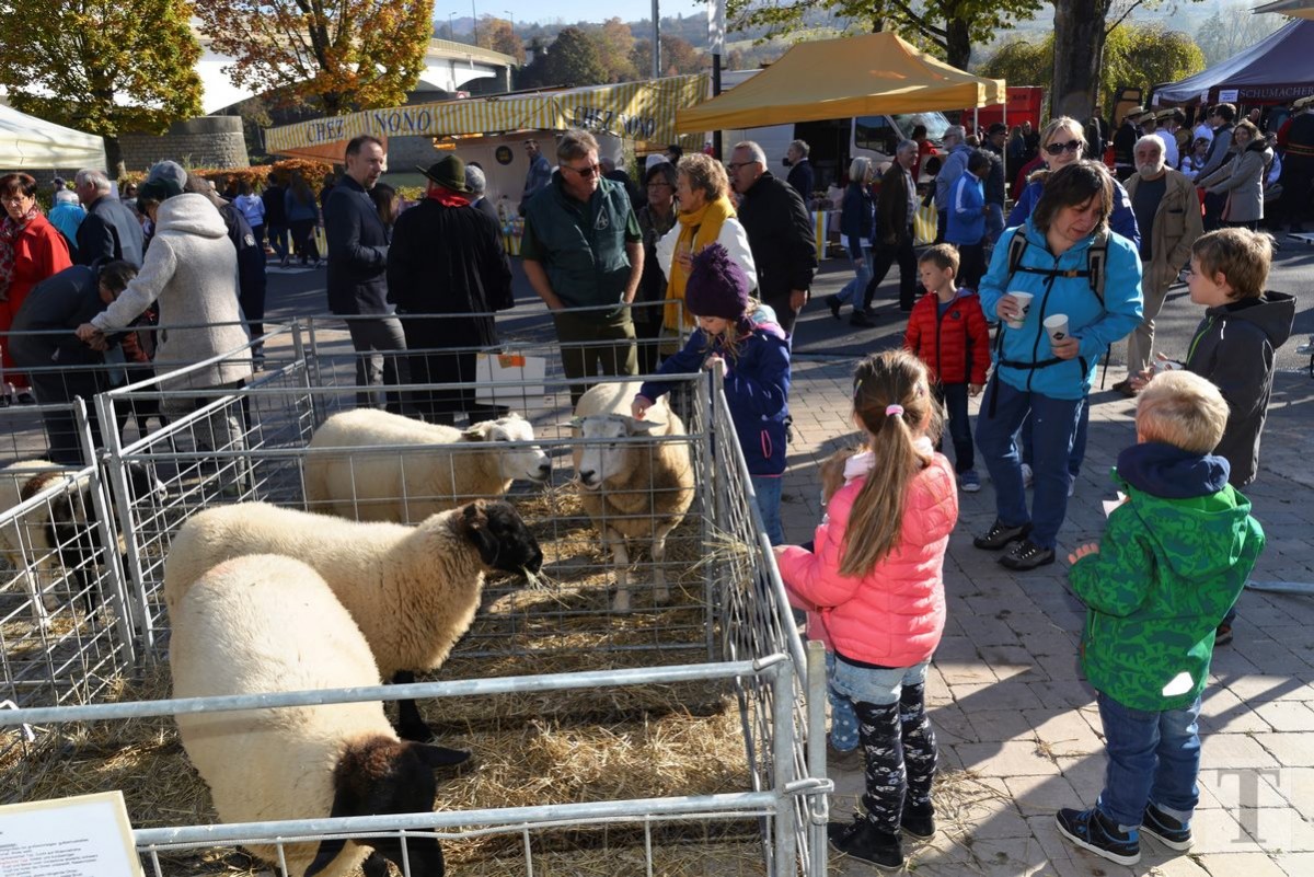 21.10.2018_Editpress_465438