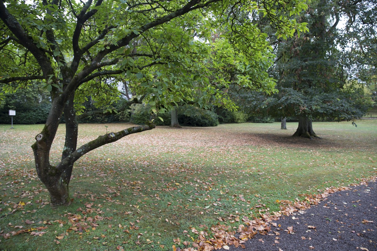 23.09.2018_Editpress_460848