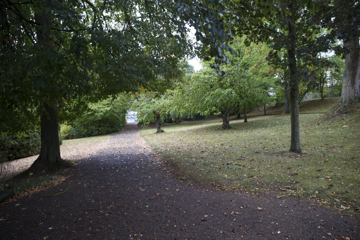 23.09.2018_Editpress_460851