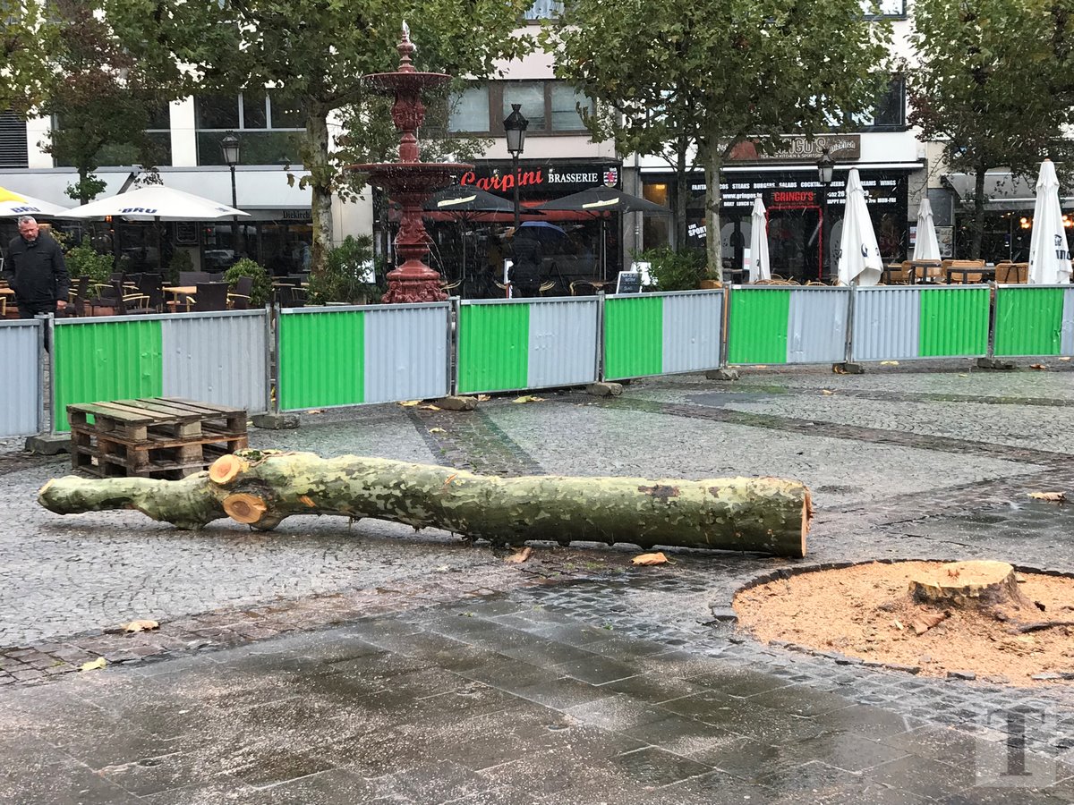 30.10.2018_Editpress_440515