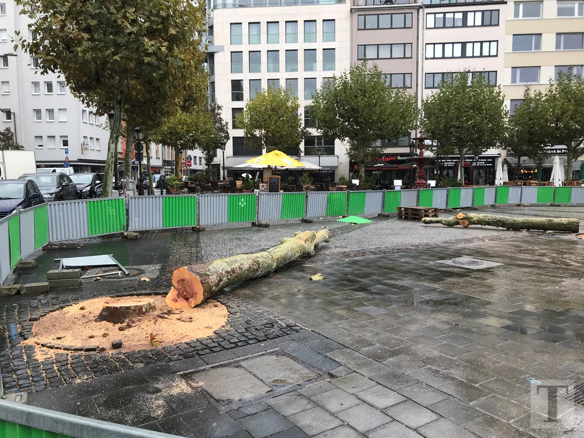 30.10.2018_Editpress_440517