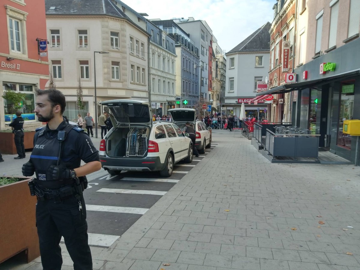 44106519_489211051559272_3483918724228972544_n