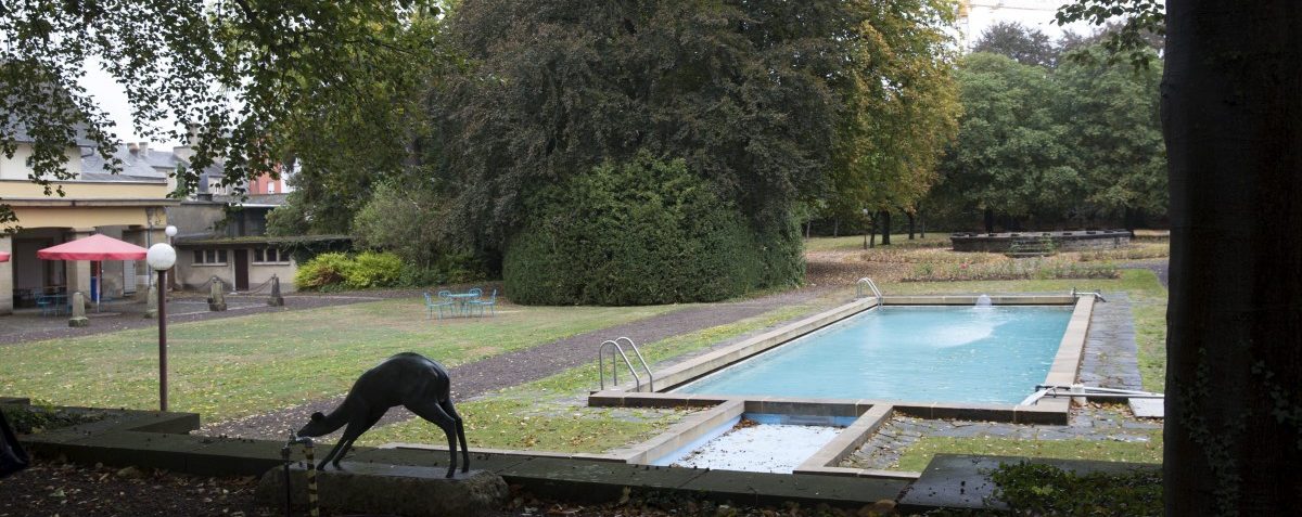 Hollerichs versteckte Oase: Eine Entdeckungsreise durch den „Heintz van Landewyck“-Park
