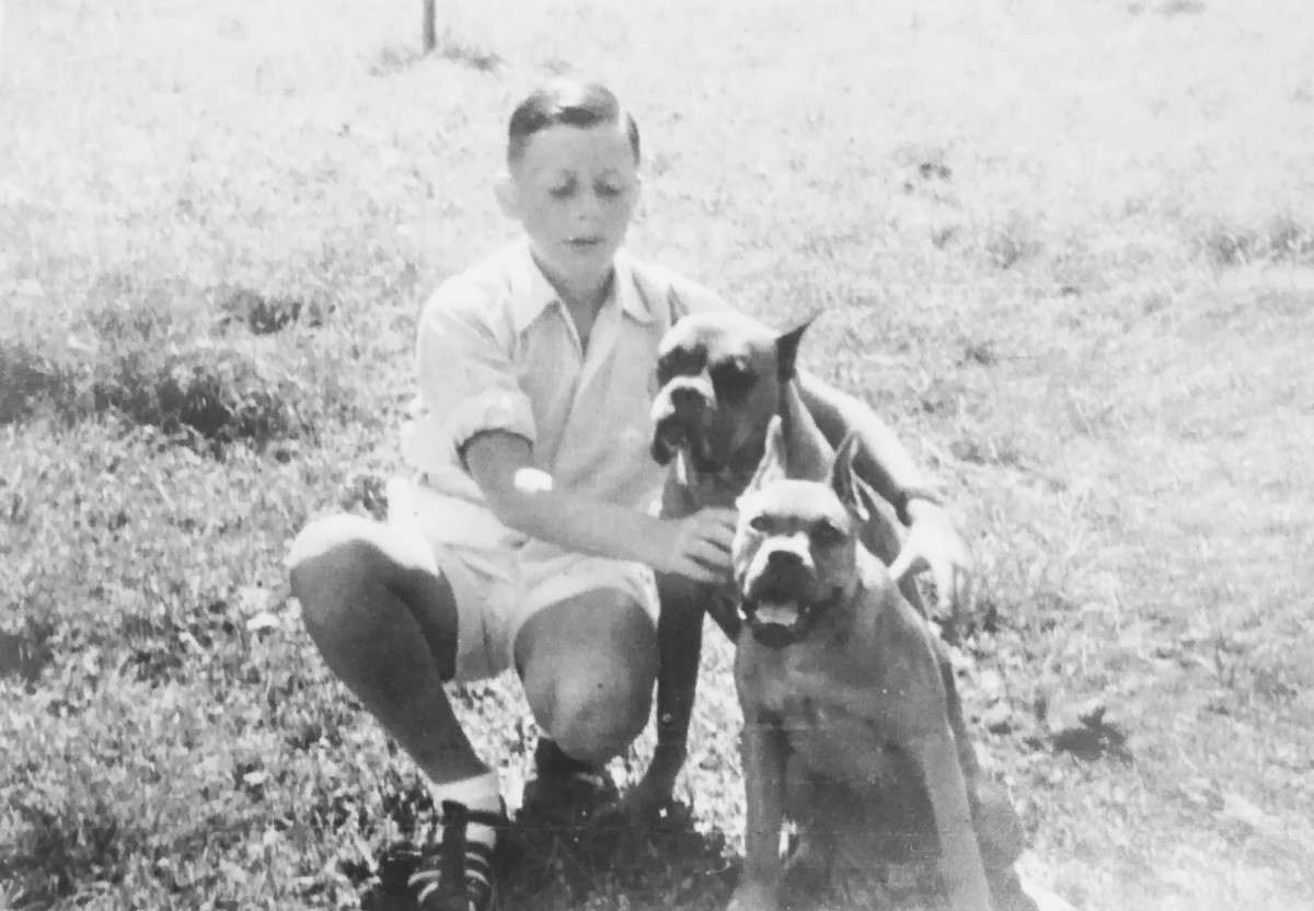 490_0008_15010272_IMG_20181005_122113