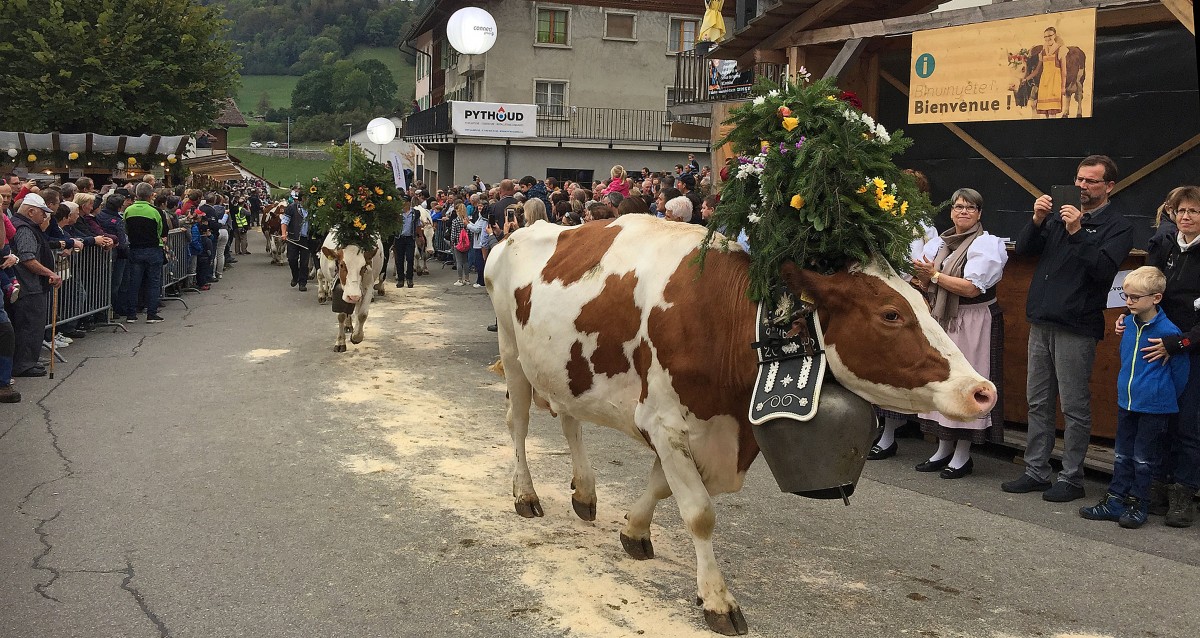 490_0008_15011018_ALM_IMG_6731