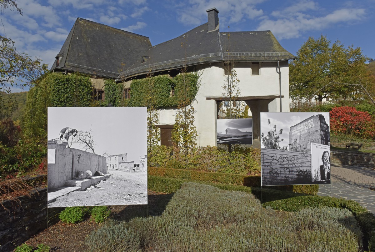 490_0008_15015999__DSC9981