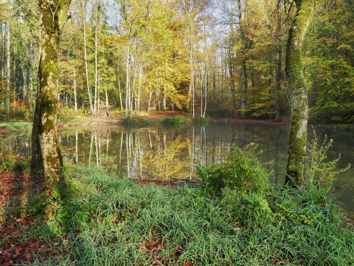 Foto: Francis Wagner