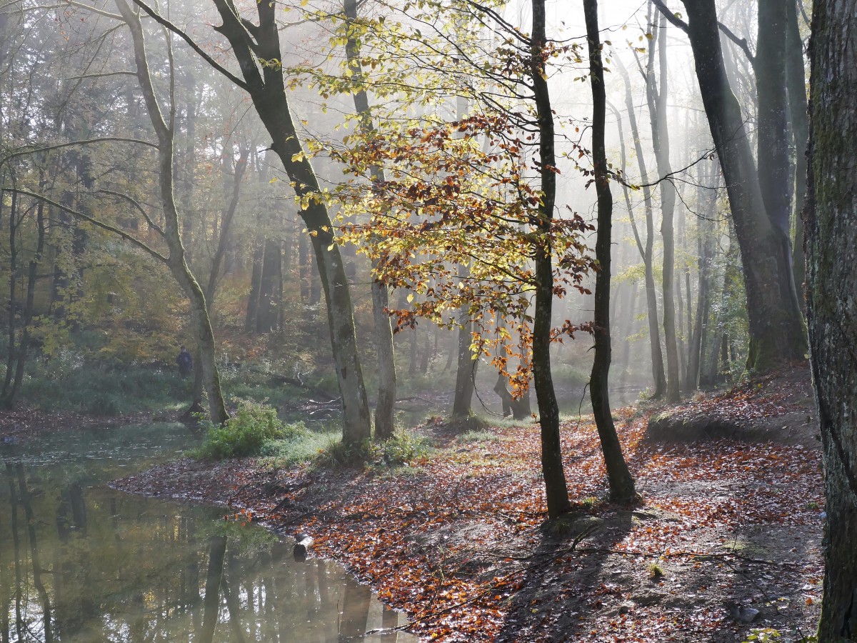 Foto: Francis Wagner