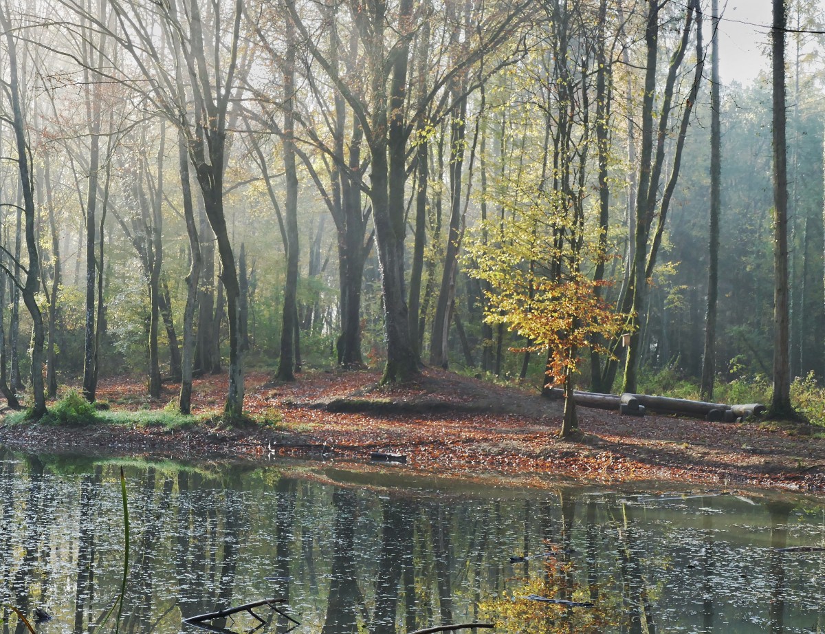 Foto: Francis Wagner