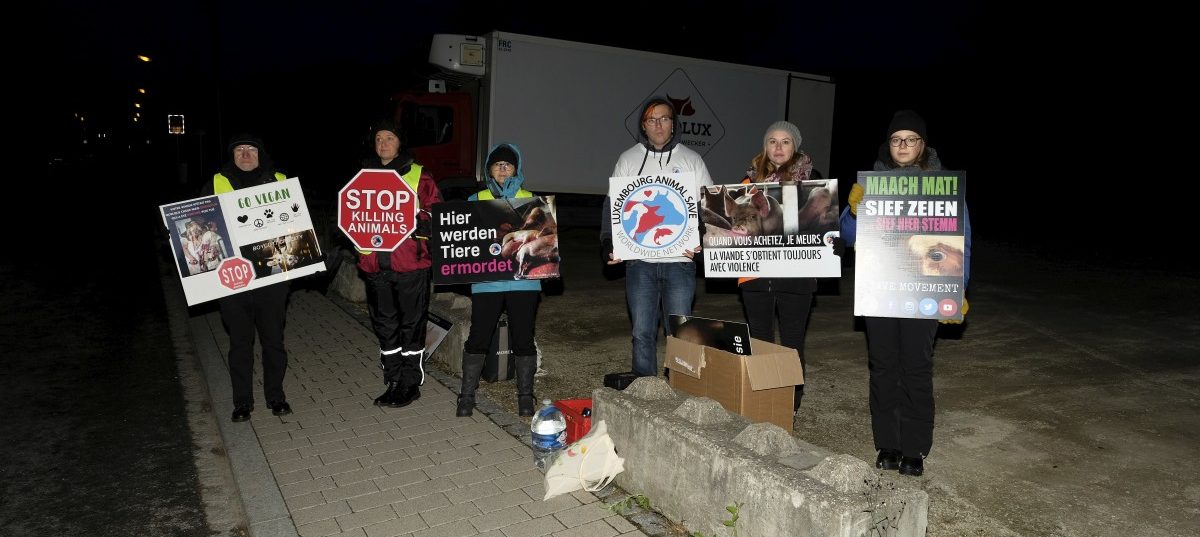 Mahnwache vor dem Schlachthaus: Schillernder Aktivist unterstützt Tierschützer