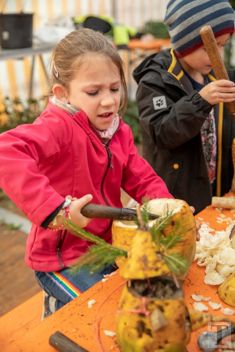 20181023_Trauliicht_Munzen_0069