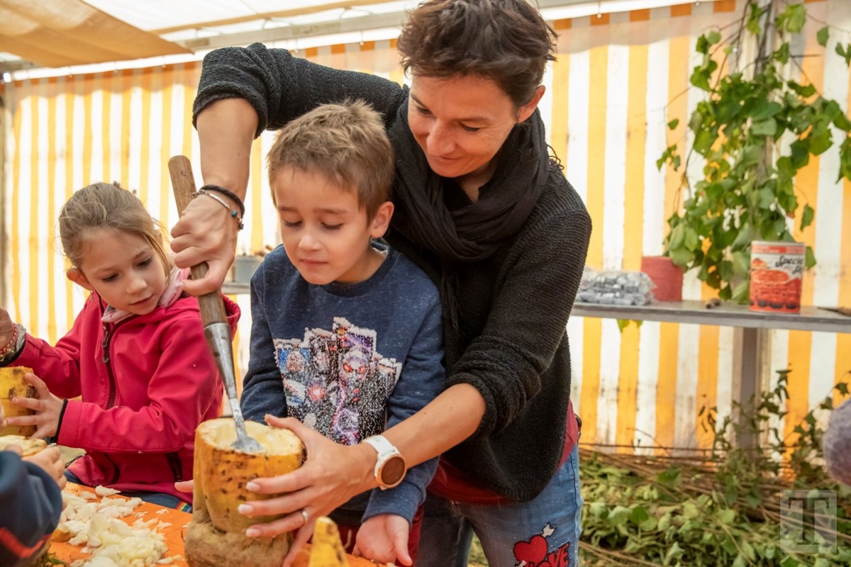 20181023_Trauliicht_Munzen_0075