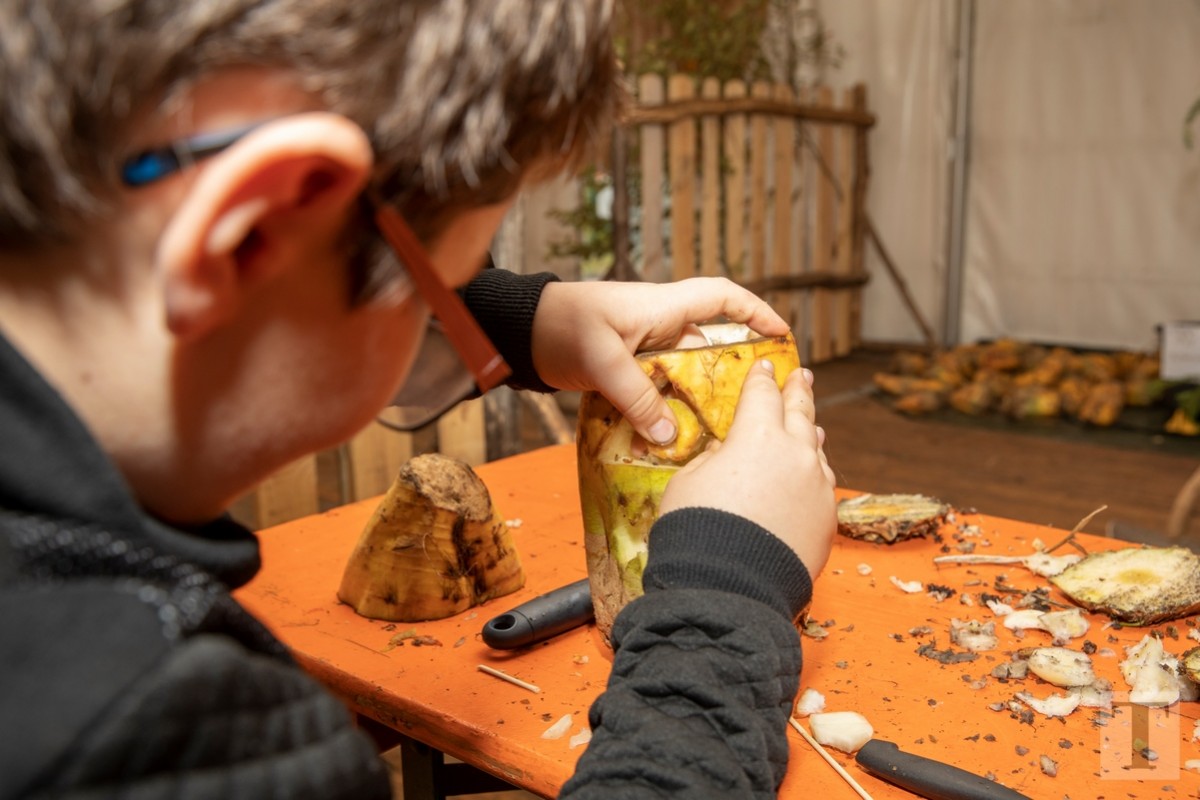 20181031_Traulicht_Munshausen_0003