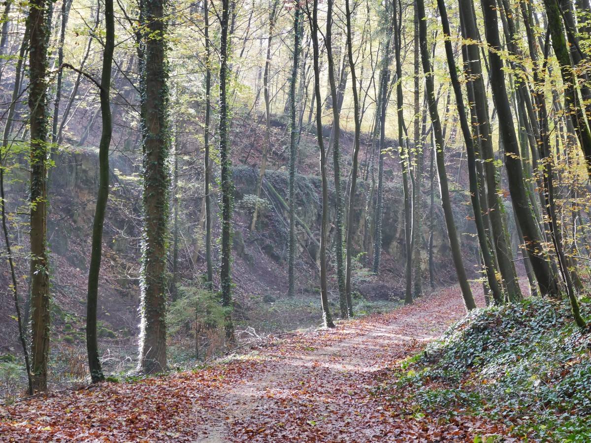 Foto: Francis Wagner