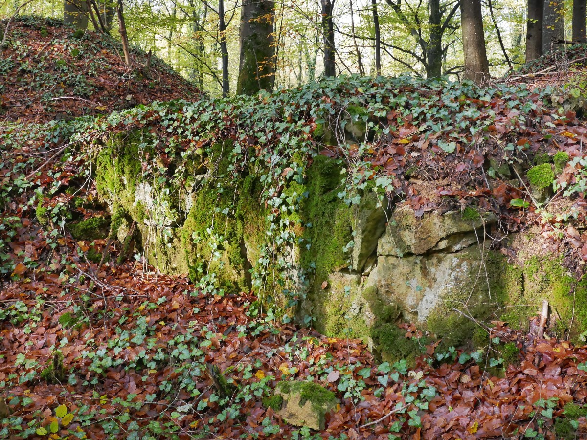 Foto: Francis Wagner