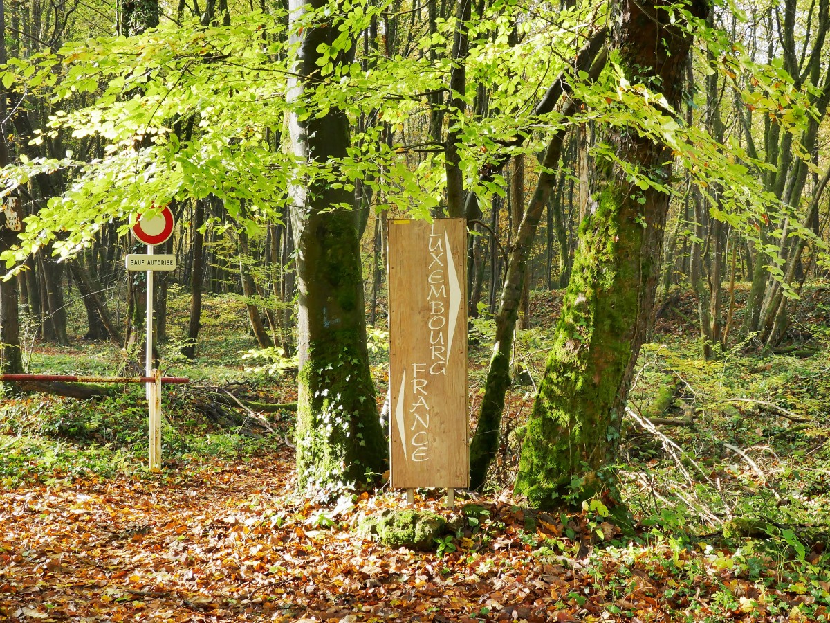 Foto: Francis Wagner