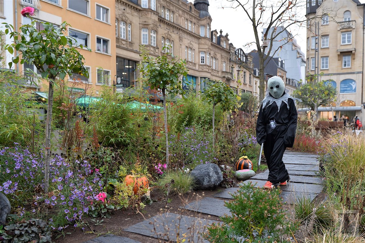 31.10.2018_Editpress_440580