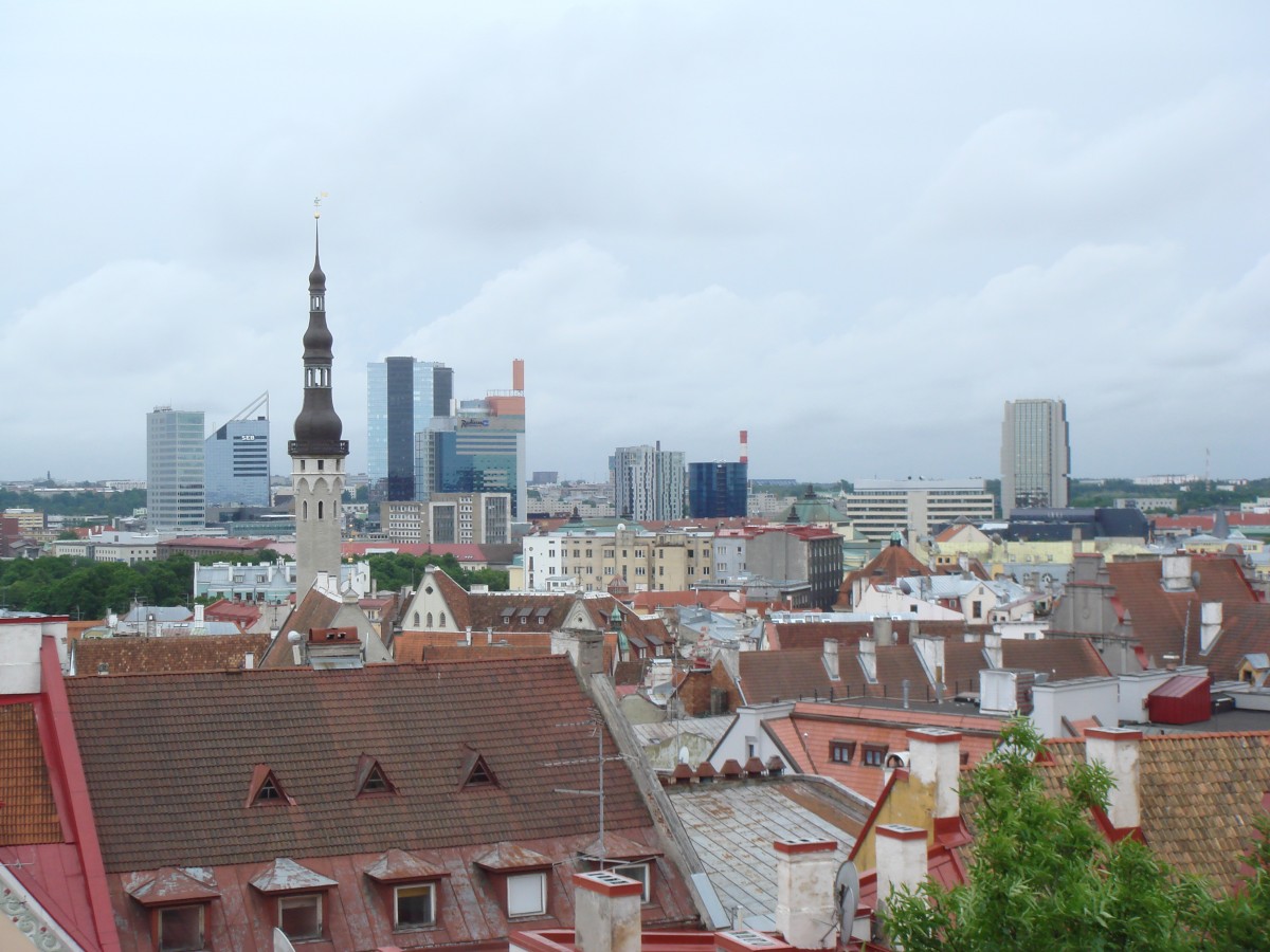 490_0008_15032101_DSC07557