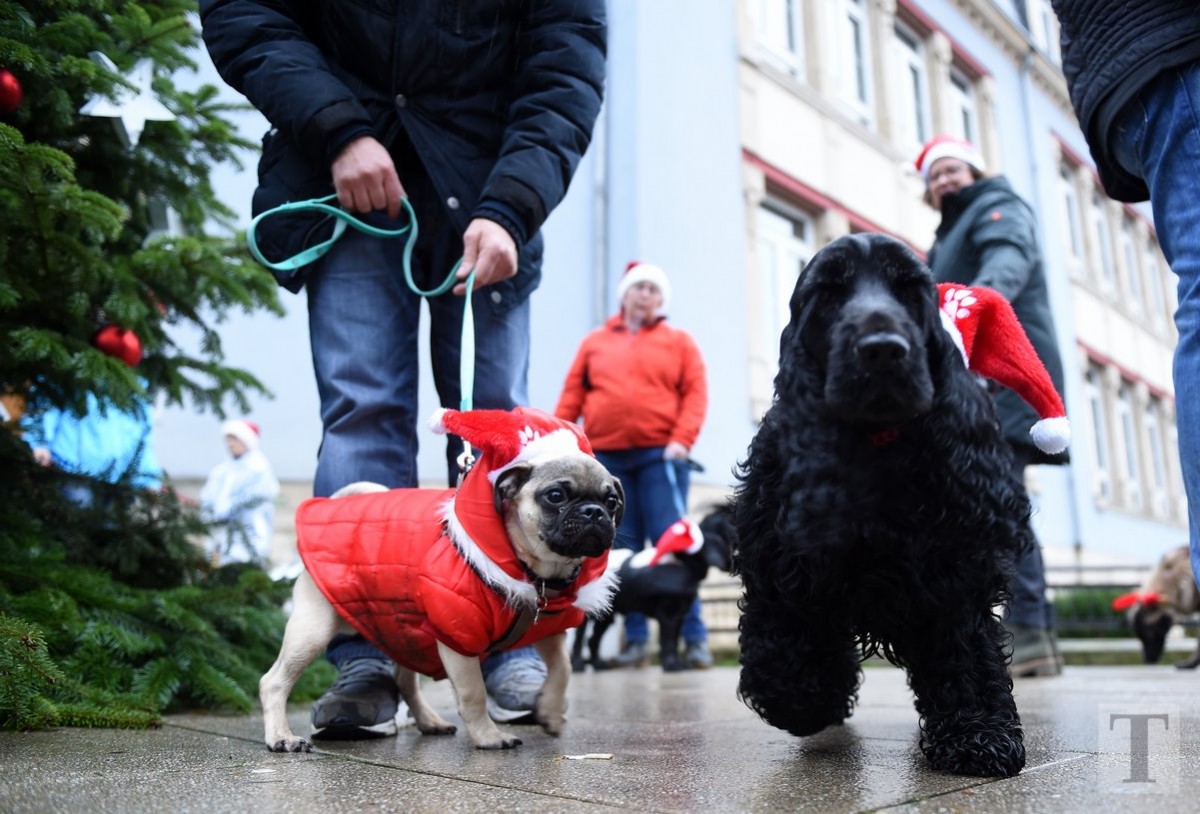 02.12.2018_Editpress_445930
