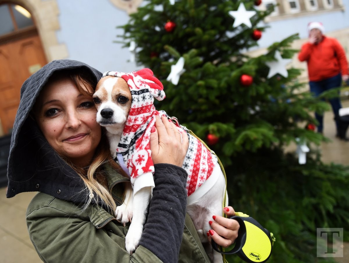 02.12.2018_Editpress_445947