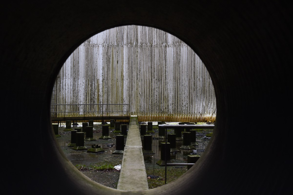 23.12.2018_Editpress_449846