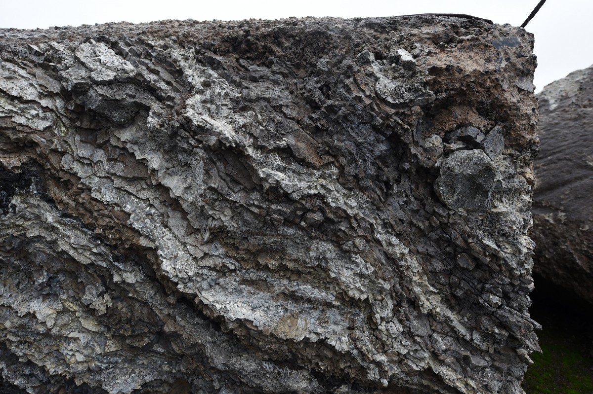 23.12.2018_Editpress_449852