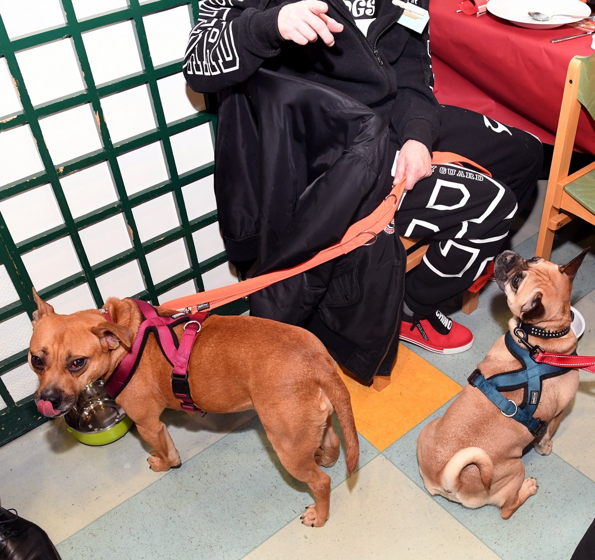 25.12.2018_Editpress_449919