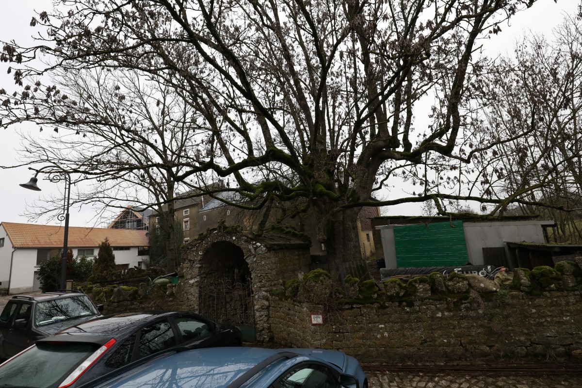 07.01.2019_Editpress_450705