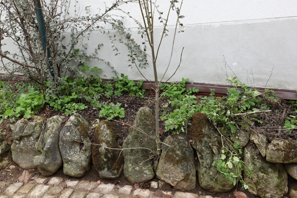 07.01.2019_Editpress_450709