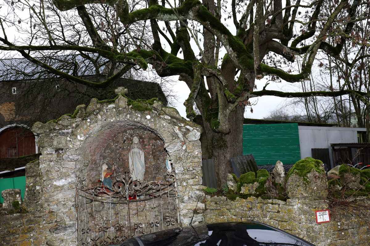 07.01.2019_Editpress_450710