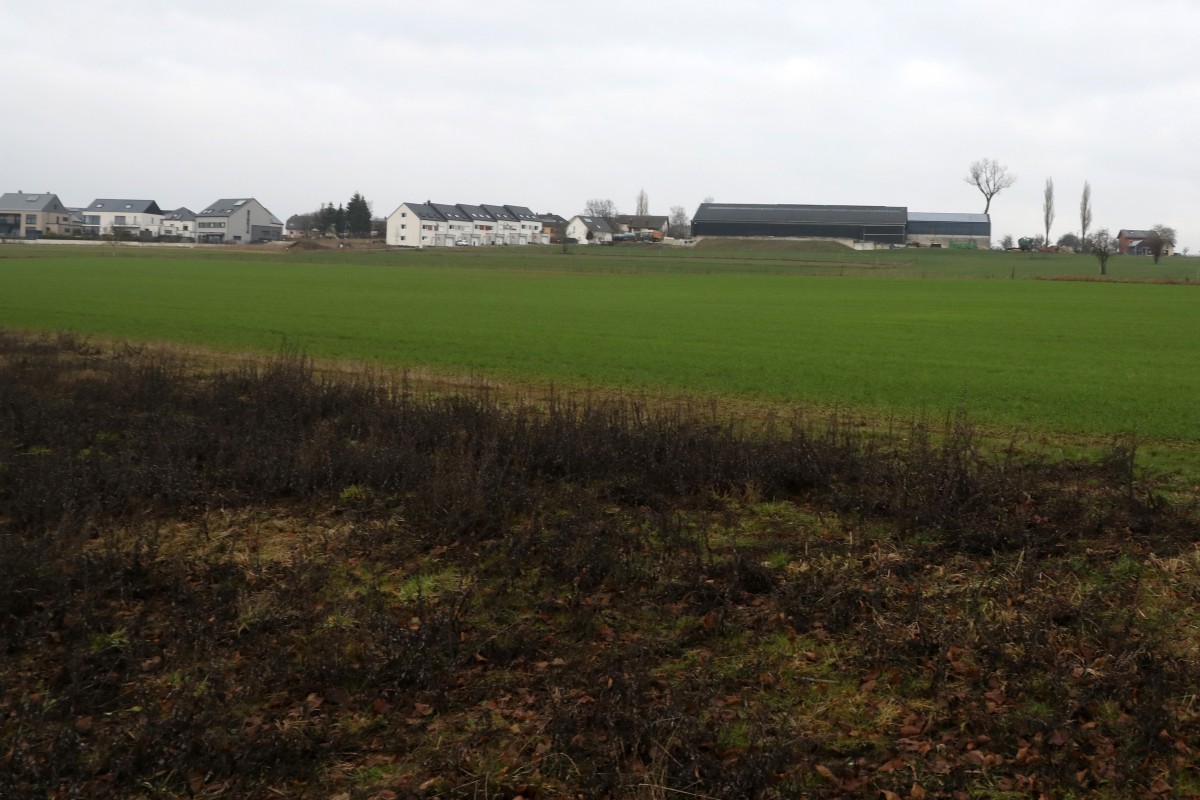 07.01.2019_Editpress_450721