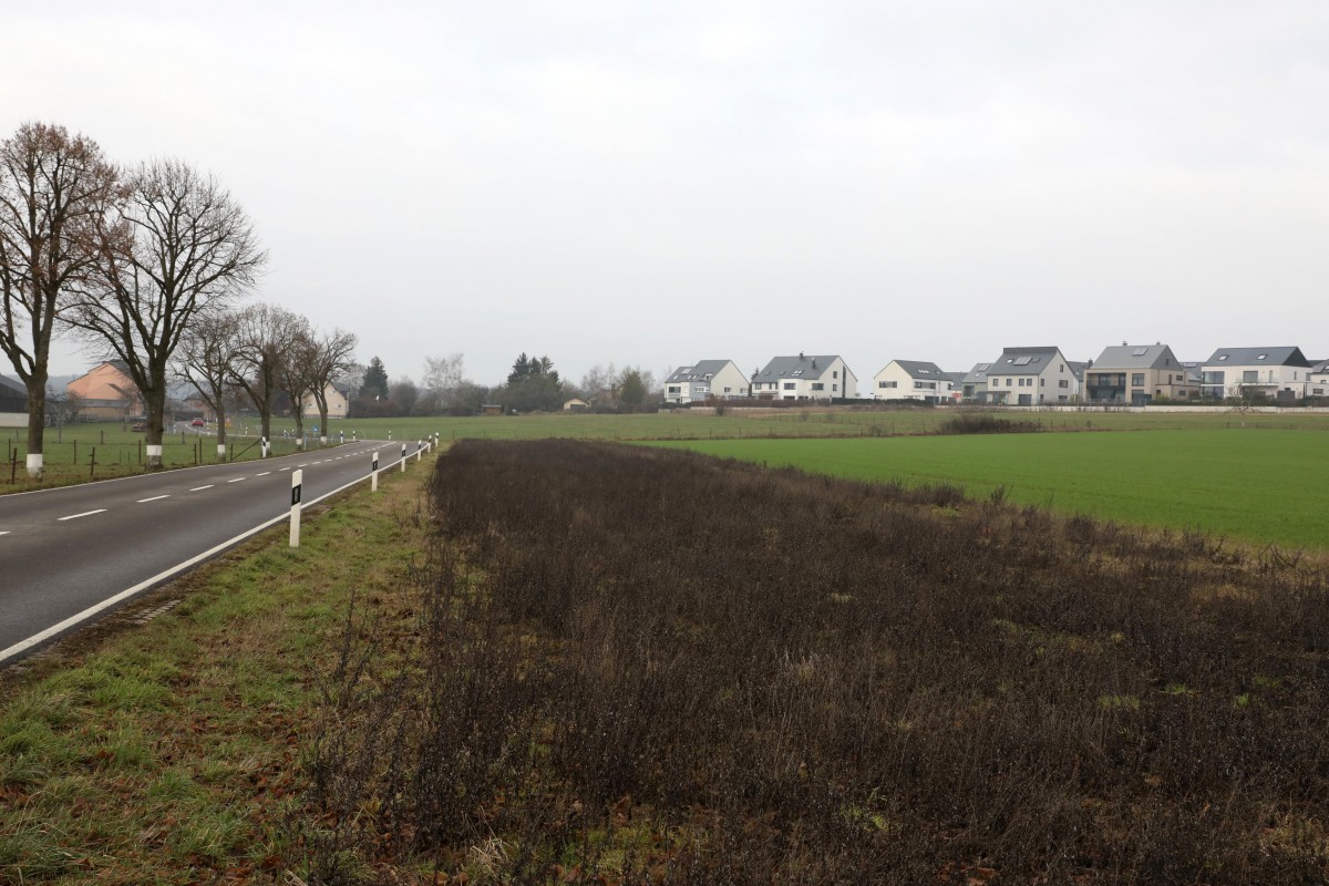 07.01.2019_Editpress_450723