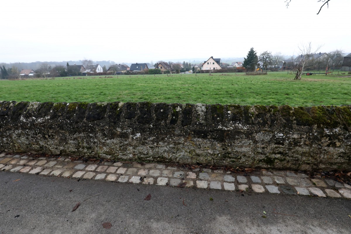 07.01.2019_Editpress_450749