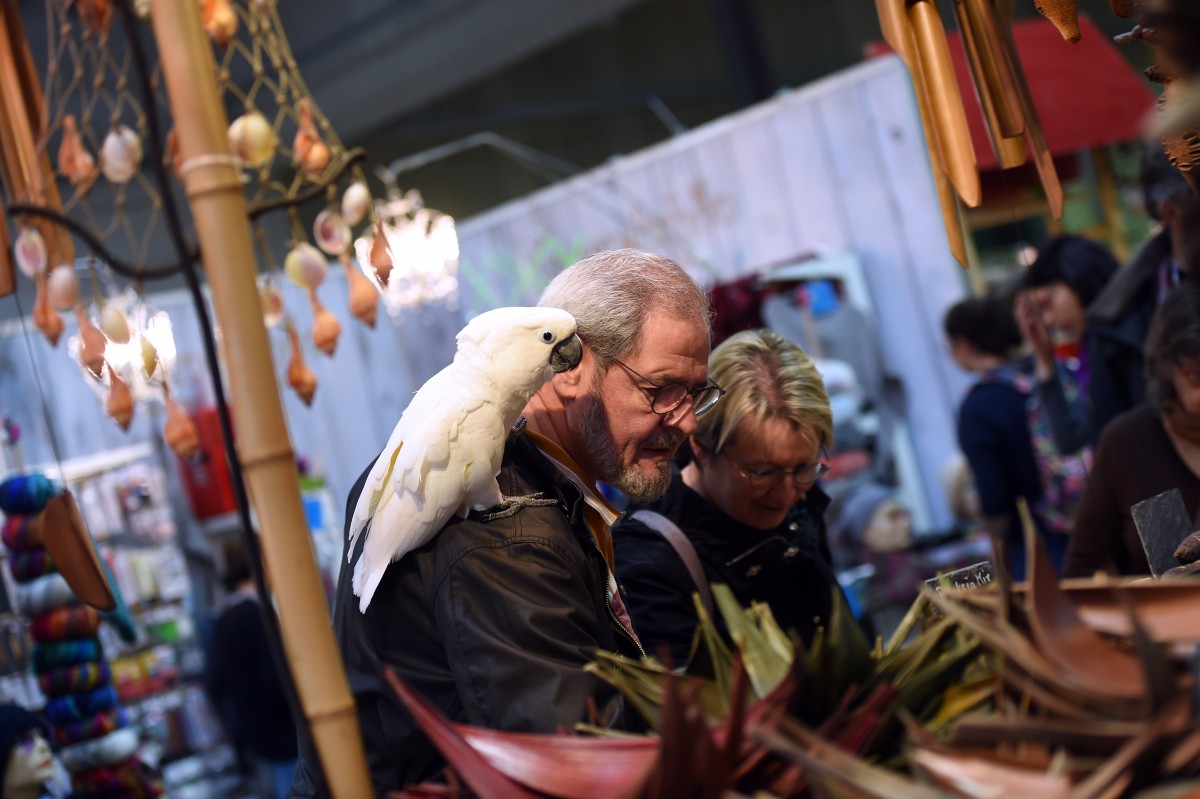 13.01.2019_Editpress_451868