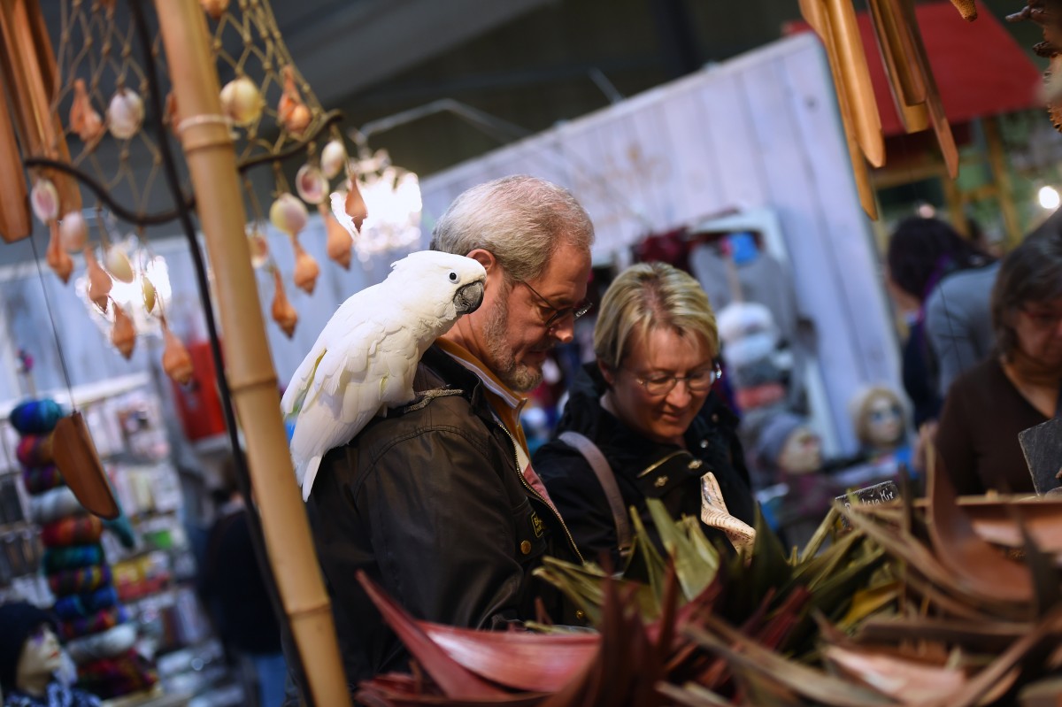 13.01.2019_Editpress_451869