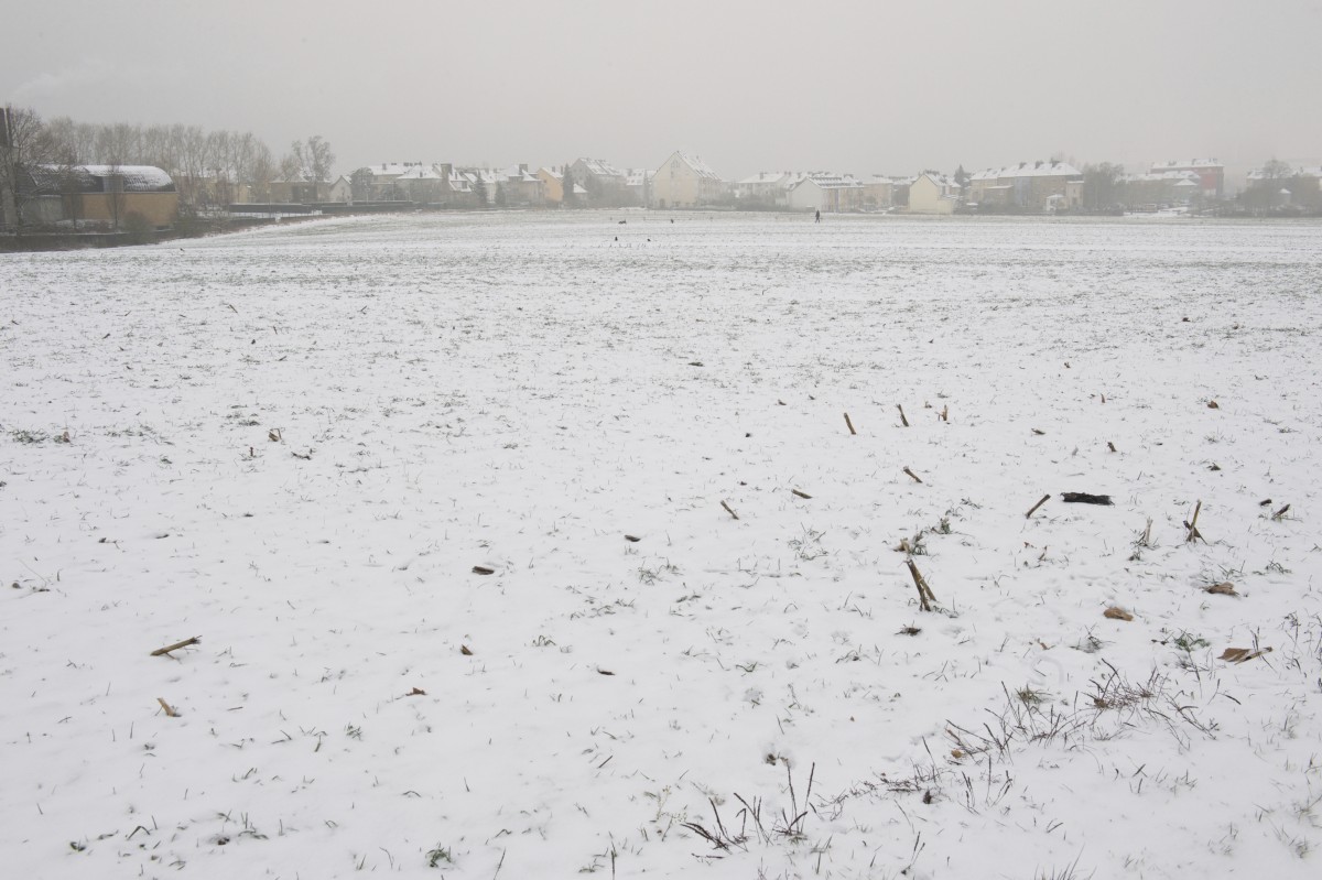 23.01.2019_Editpress_453196